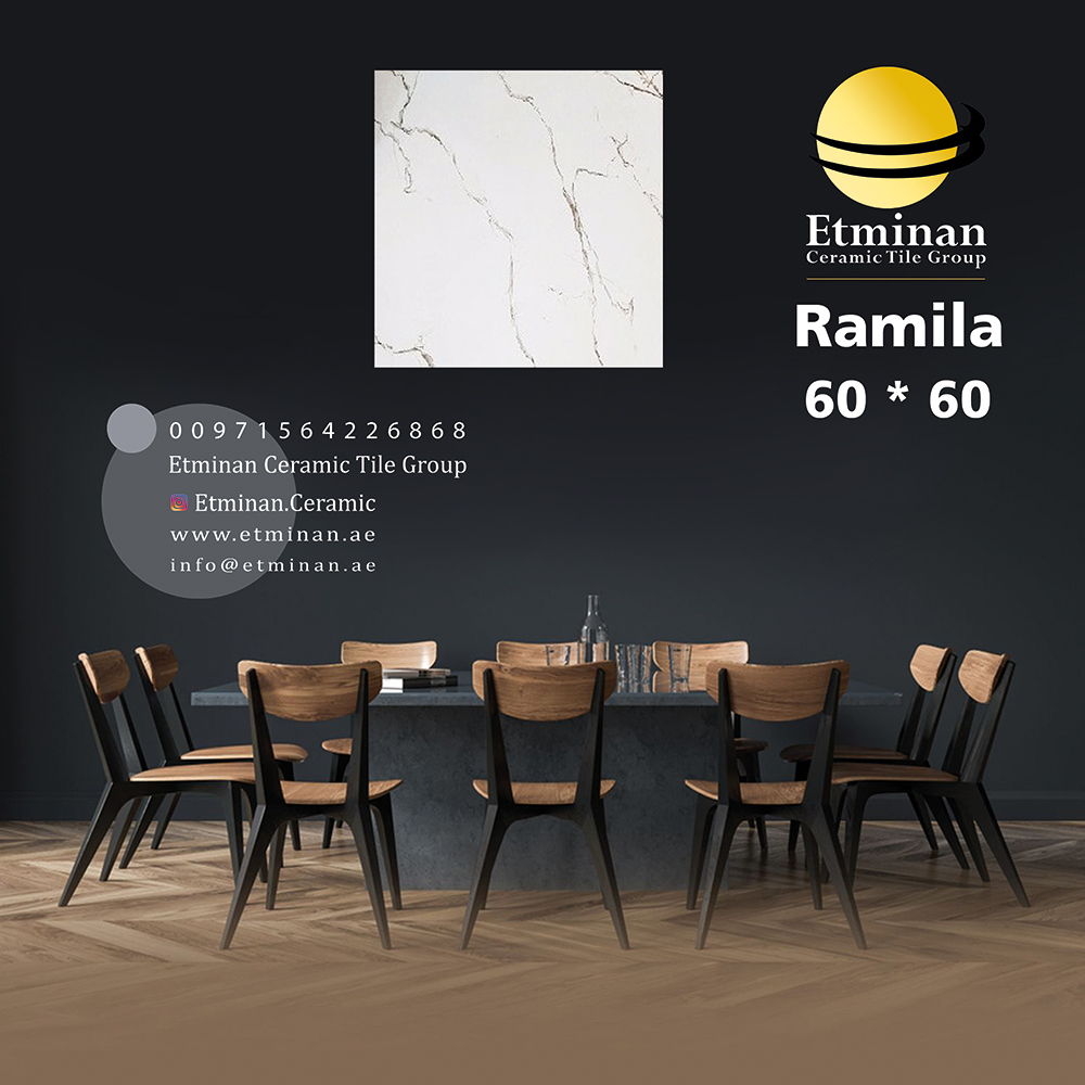 Ramila-porcelain-60-60