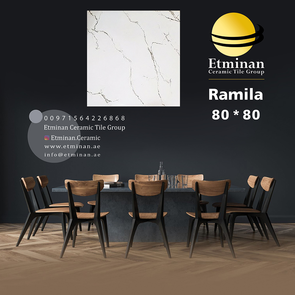 Ramila-porcelain-80-80 - ceramic products